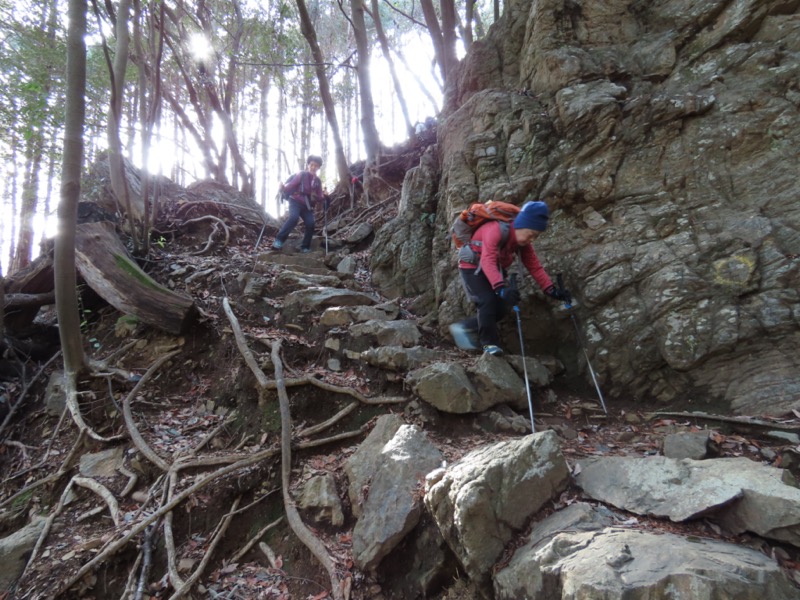 日和田山、物見山